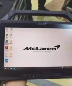 McLaren MDS2 