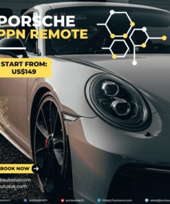 Porsche PPN Remote