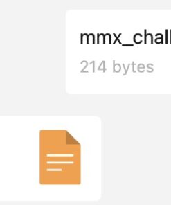 MMX Challenge Response